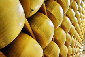parmigiano-reggiano-1574183_1280